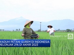 Video: Waduh! Petani Gurem di Indonesia Melonjak 21% di Akhir 2023
