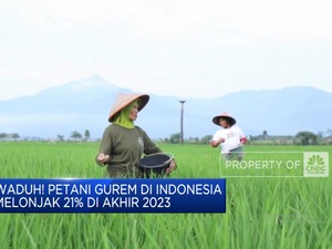 Video: Waduh! Petani Gurem di Indonesia Melonjak 21% di Akhir 2023