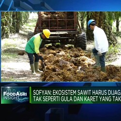 79 Tahun Indonesia Merdeka, Sawit RI Masih Hadapi Masalah Sistemik!