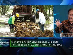 79 Tahun Indonesia Merdeka, Sawit RI Masih Hadapi Masalah Sistemik!