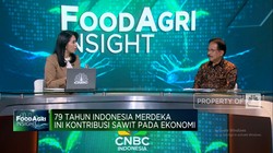 Video: Sofyan Djalil Ungkap Cara Agar Peremajaan Sawit Rakyat Berhasil