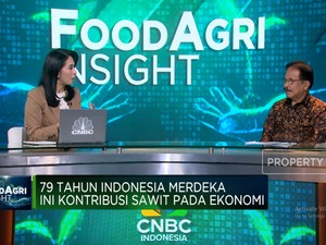 Video: Sofyan Djalil Ungkap Cara Agar Peremajaan Sawit Rakyat Berhasil