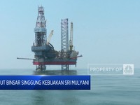 Video: Luhut Singgung Kebijakan Srimul Hingga Rusia Keadaan Darurat