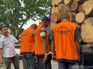 Polisi Gagalkan Penyelundupan 36 Kayu Hasil Pembalakan Liar, 4 Orang Diamankan