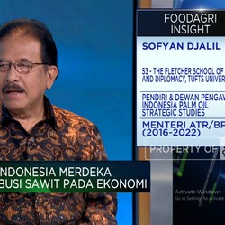 Sofyan Djalil: Jangan Sampai Sawit Alami Nasib 
