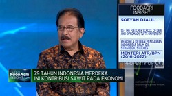 Sofyan Djalil: Jangan Sampai Sawit Alami Nasib 