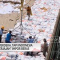 Bukan China! Tahun 2024, RI Impor Beras Paling Banyak dari Negara Ini