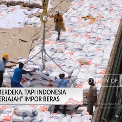 Bukan China! Tahun 2024, RI Impor Beras Paling Banyak dari Negara Ini