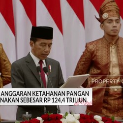 Anggaran Ketahanan Pangan Era Prabowo Rp124 T, Cukup Atau Tidak?