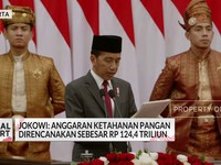 Anggaran Ketahanan Pangan Era Prabowo Rp124 T, Cukup Atau Tidak?