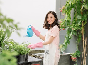 Air Hujan Bikin Tanaman Lebih Subur daripada Air Keran, Ini Alasannya