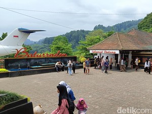 Info Lur! Wisata Alam di Banyumas Cuma Bayar Rp 79, Ini Syaratnya