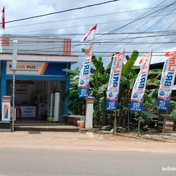 Mudahkan Transaksi Masyarakat, Agen BRILink Tersebar Hingga Pelosok