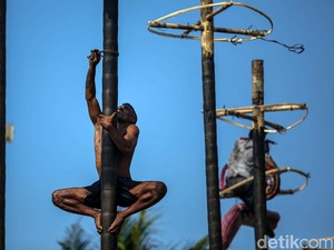 Alasan Pemkab di Aceh Larang Lomba Panjat Pinang