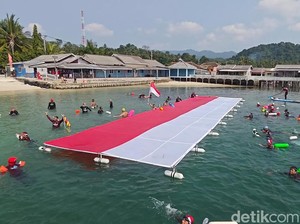 Pemecahan Rekor MURI Berenang Bawa Bendera Merah Putih Sejauh 8 Km