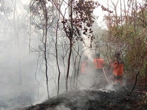 Karhutla di 3 Desa Ogan Ilir Sudah Padam, Tersisa Kepulan Asap