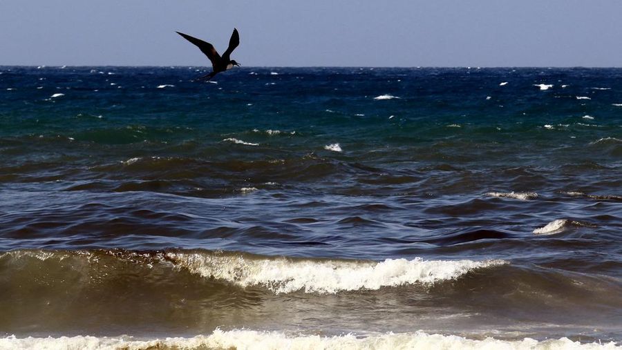 Tumpahan minyak terlihat di laut dan menutupi bebatuan di pantai dekat kilang minyak negara Venezuela PDVSA El Palito, di Boca de Aroa, Venezuela 16 Agustus 2024. (REUTERS/Juan Carlos Hernandez)