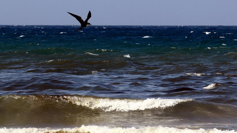 Tumpahan minyak terlihat di laut dan menutupi bebatuan di pantai dekat kilang minyak negara Venezuela PDVSA El Palito, di Boca de Aroa, Venezuela 16 Agustus 2024. (REUTERS/Juan Carlos Hernandez)