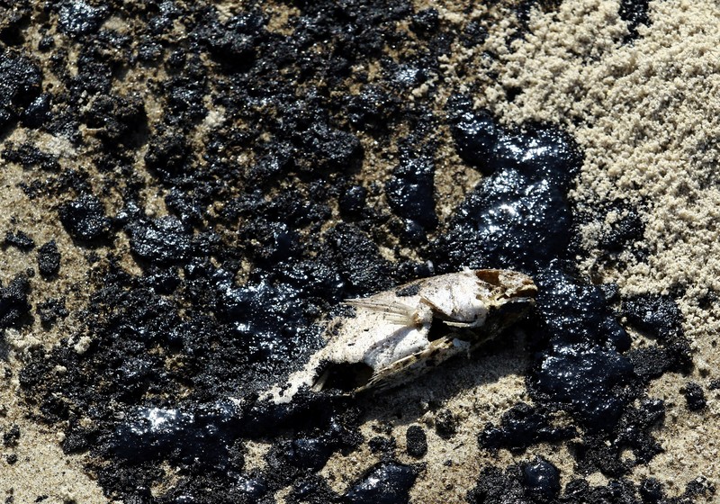 Tumpahan minyak terlihat di laut dan menutupi bebatuan di pantai dekat kilang minyak negara Venezuela PDVSA El Palito, di Boca de Aroa, Venezuela 16 Agustus 2024. (REUTERS/Juan Carlos Hernandez)