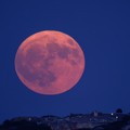 Fenomena Langka Cold Moon di Akhir 2024, Ini Penjelasannya