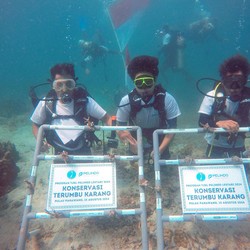 Konservasi Lingkungan, SPTP Tanam 632 Bibit Terumbu Karang