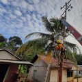 PLN Alirkan Listrik di 7 Desa Kabupaten Bengkayang Kalbar