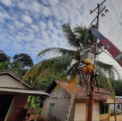 PLN Alirkan Listrik di 7 Desa Kabupaten Bengkayang Kalbar