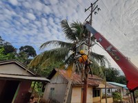 PLN Alirkan Listrik di 7 Desa Kabupaten Bengkayang Kalbar