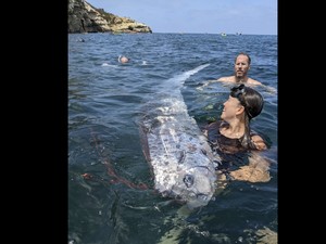 Ikan Hari Kiamat Muncul, Ini Mitos Seram di Baliknya