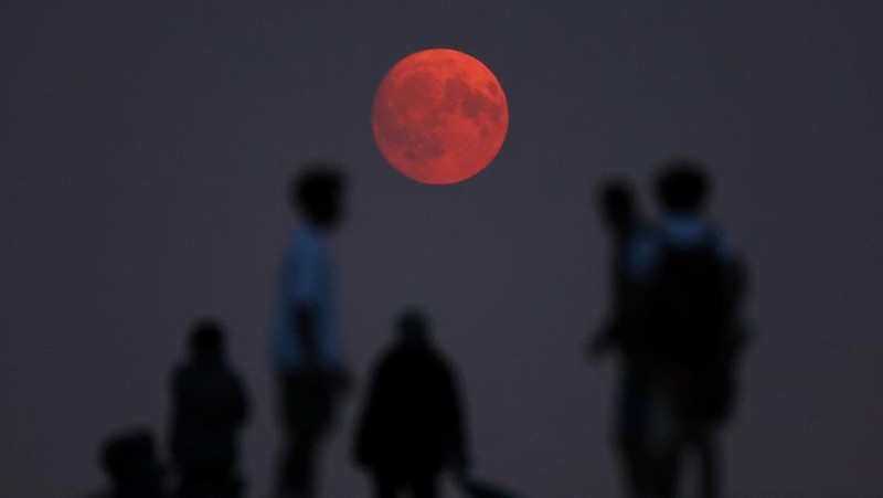 Supermoon langka muncul di atas pelabuhan kargo di utara ibu kota Indonesia, Jakarta, pada hari Senin (19 Agustus), menandai supermoon pertama tahun ini. (Reuters/)