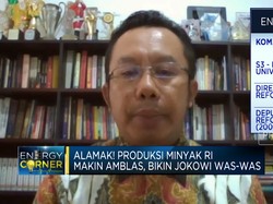 Video: Pak Jokowi, RI Bisa "Contek" Cara Vietnam Tarik Investasi Migas