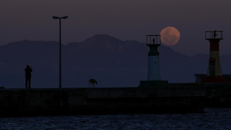 Supermoon langka muncul di atas pelabuhan kargo di utara ibu kota Indonesia, Jakarta, pada hari Senin (19 Agustus), menandai supermoon pertama tahun ini. (Reuters/)