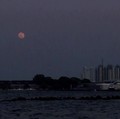 Jadwal Supermoon Hari Ini, Waspada Dampaknya di Wilayah RI