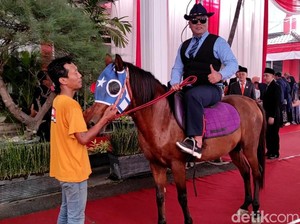 Anggota DPRD Kota Kediri Ini Datang ke Pelantikan dengan Tunggangi Kuda