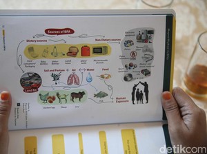 Perlu Tahu, Ini yang Terjadi Ketika Tubuh Terpapar BPA