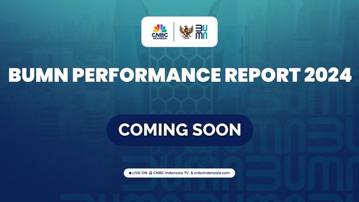BUMN Performance Report 2024