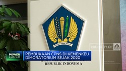Video: Kemenkeu Buka Formasi CPNS, Ada 1.230 Formasi