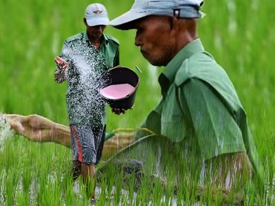Perang Iran Makan Korban Baru: Petani!