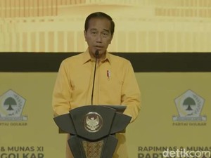 Jokowi Akui Lebih Nyaman di Bawah Pohon Beringin: Adem dan Sejuk