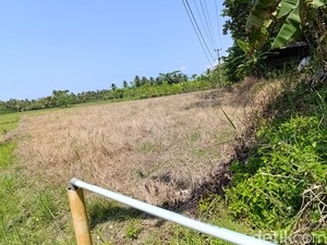 Kekeringan Melanda Tiga Kecamatan di Pangandaran