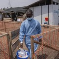 5 Cara Penularan Virus Mpox yang Wajib Diwaspadai
