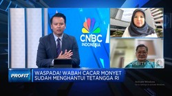 Amit-amit Kena Cacar Monyet, Ini Ciri & Pengobatan Yang Dibutuhkan!