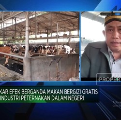 Program MBG Prabowo Siap Dimulai, Peternak Ayam Hingga Sapi Ikut Cuan?