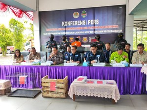 KLHK Tangkap Pedagang Ilegal 2 Ekor Anak Orang Utan & 1 Kukang di Kalbar