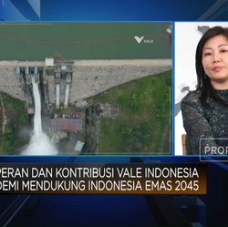 Bos Vale Beberkan Peran Huayou-Ford di Proyek Smelter Rp70 Triliun