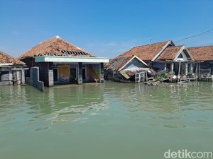 Kampung di Demak Ditinggalkan Penghuninya, Kini Jadi Horor