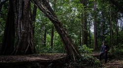 Video: Dua Situs Indonesia Ditetapkan Sebagai Geopark Global UNESCO