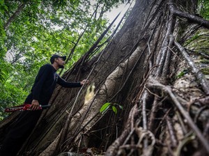Ramai-ramai Ajakan Patungan Beli Hutan di Medsos, Memungkinkan Tidak?