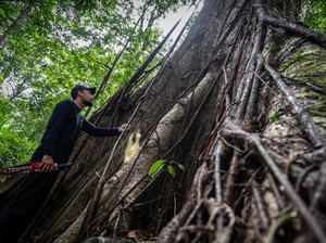Resmi! Geopark Meratus Masuk Daftar UNESCO Global Geoparks