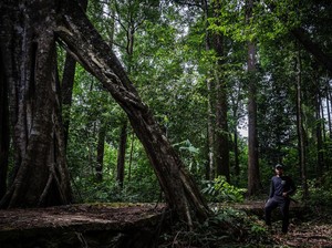 Cara Menjaga Kelestarian Hutan dan Sejahterakan Masyarakat